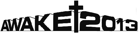 AWAKE 2013 LOGO