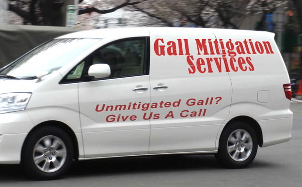 Gall