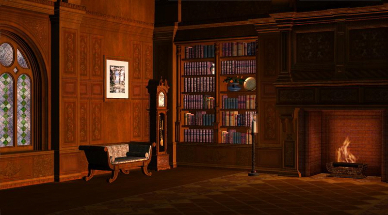 MIDNIGHT IN THE LIBRARY