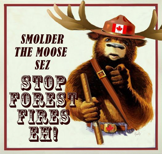 smolder the moose